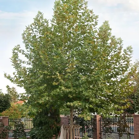 Anita Appartement Gyenesdiás